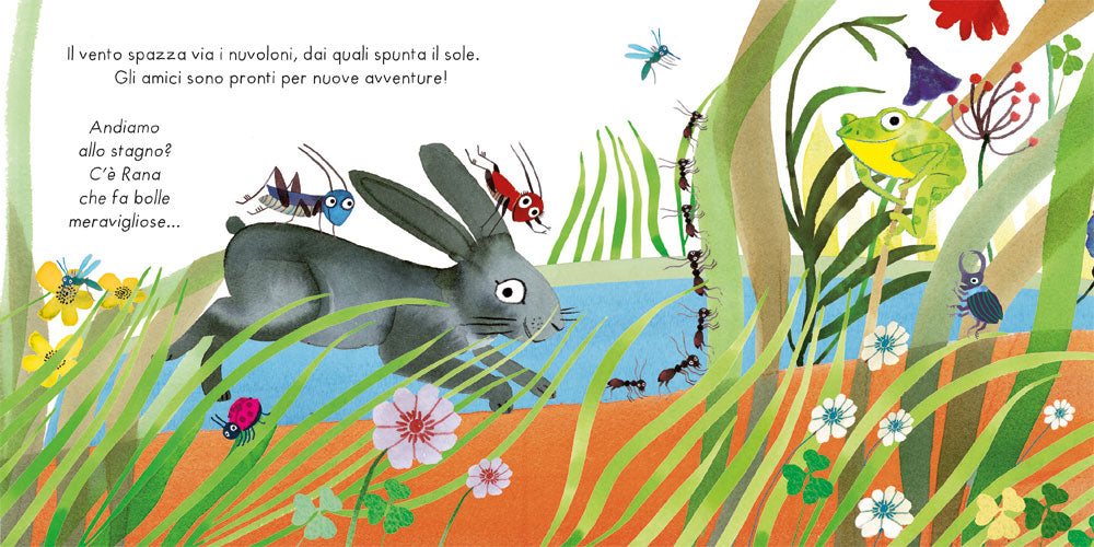 Un tuffo nello stagno