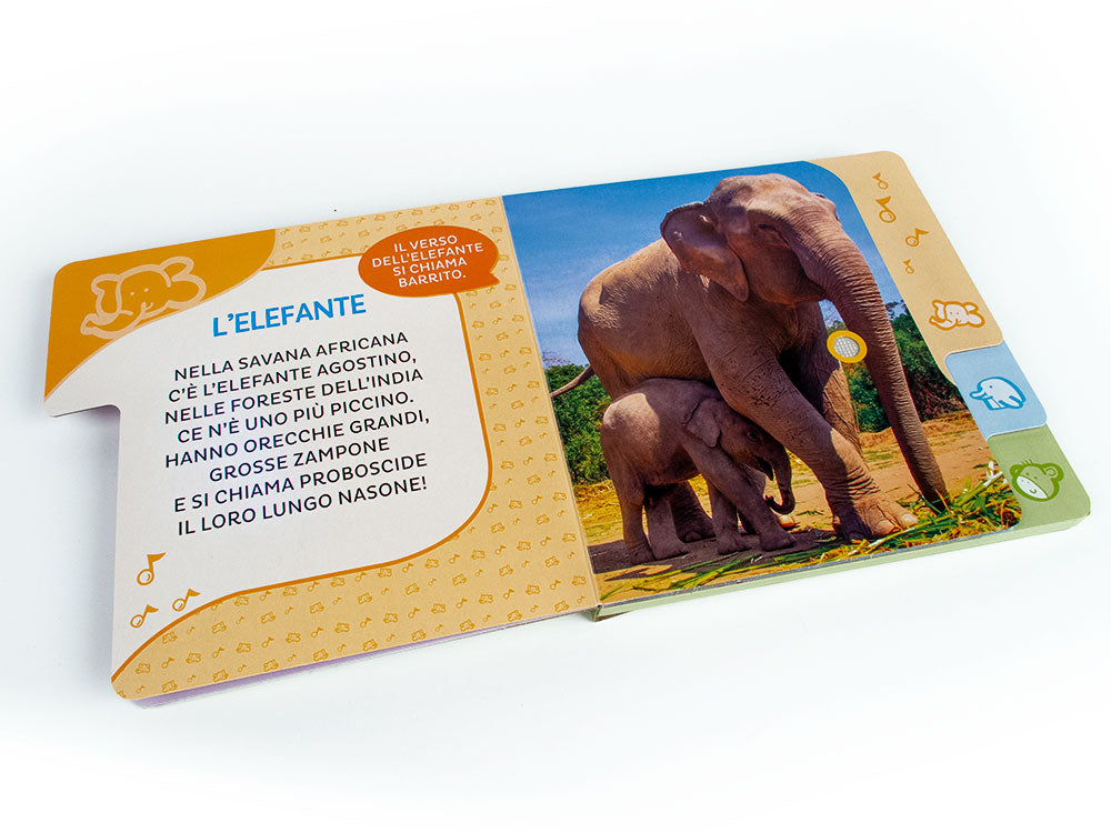 Animali del mondo. Primi suoni::6 versi da ascoltare!