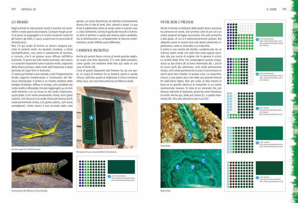 Capire e usare i colori::Teoria e storia - Mescole cromatiche - Riproduzione ed esercizi