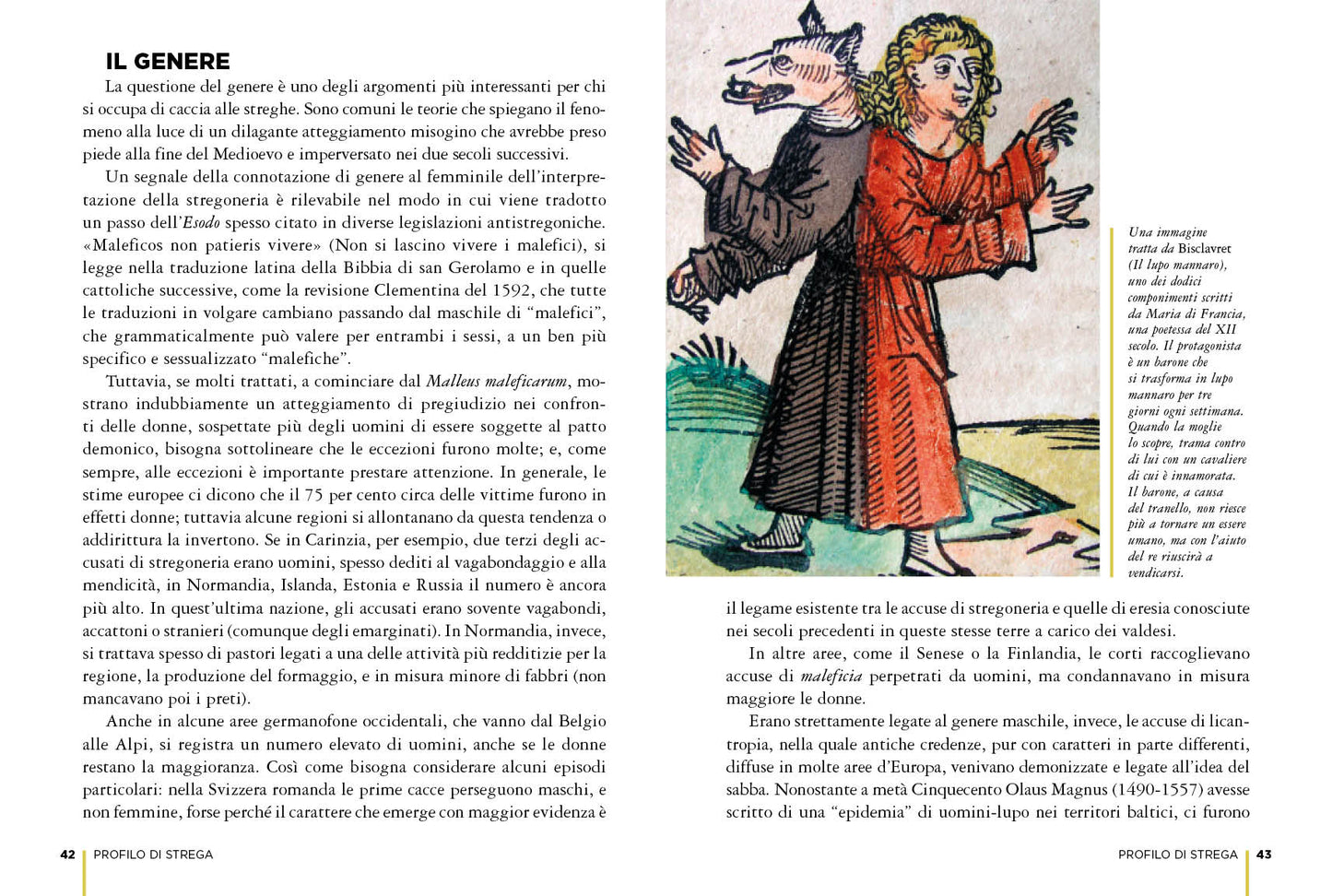 Streghe::Le origini, il mito, la storia