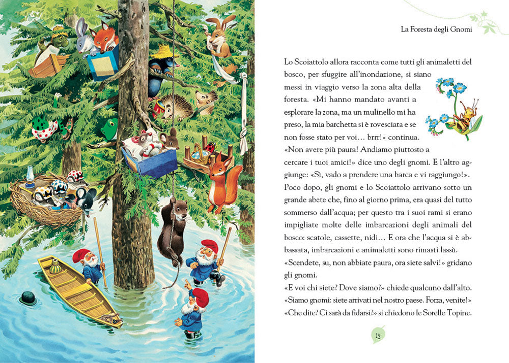 Gnomi::Le storie del bosco