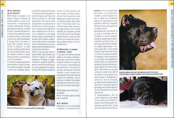 Comunicare con il cane::Come dialogare meglio con il proprio amico