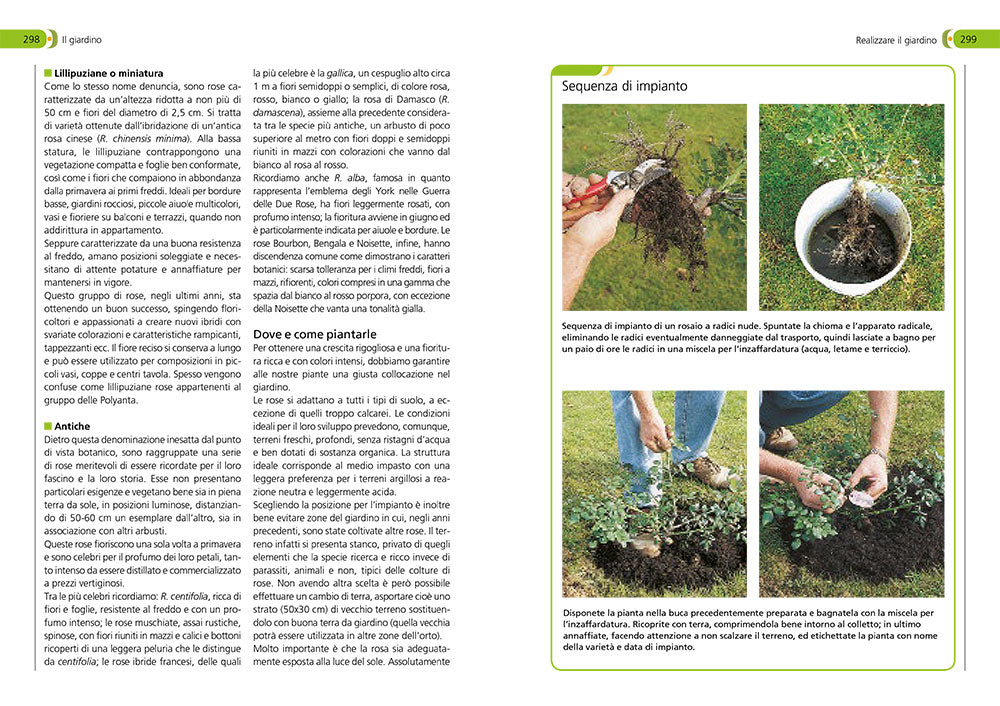 Orto, frutteto, giardino::Il manuale completo