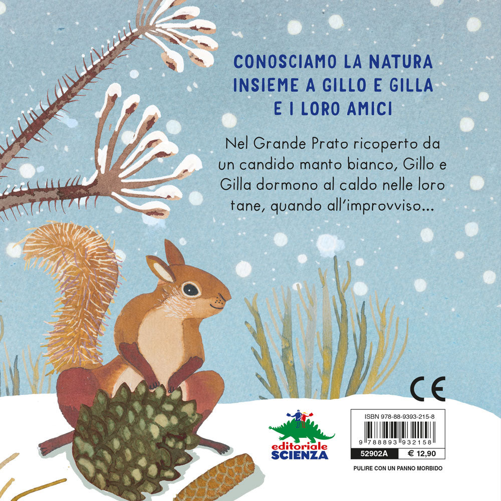 Piccoli tesori nascosti