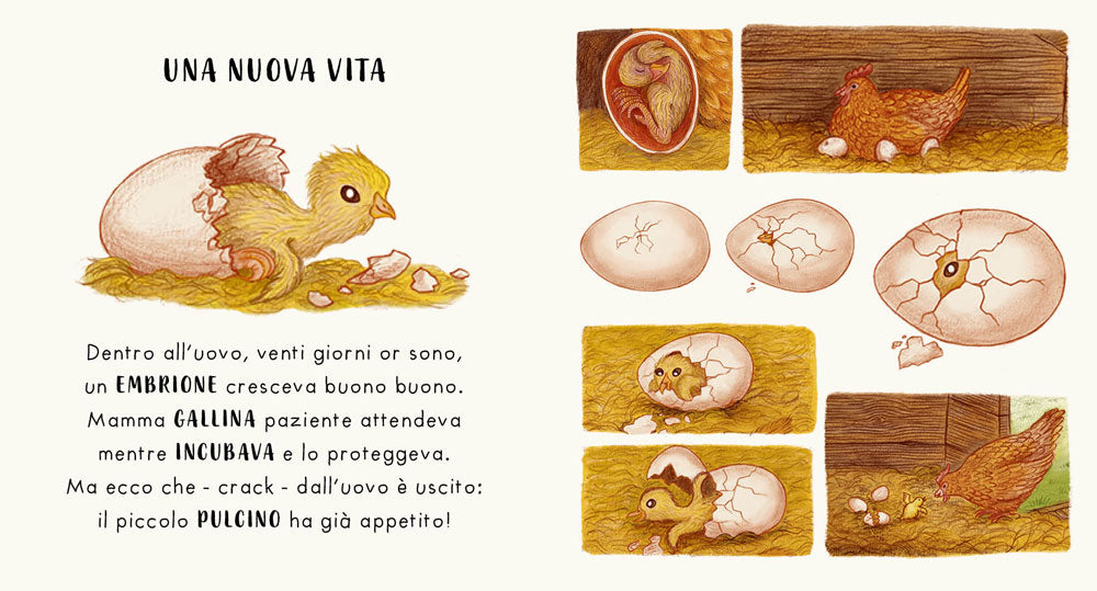 Piano piano... intorno a te