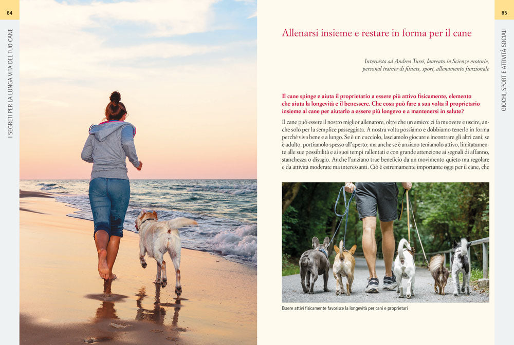 I segreti per la lunga vita del tuo cane::Esercizi, alimentazione e cure