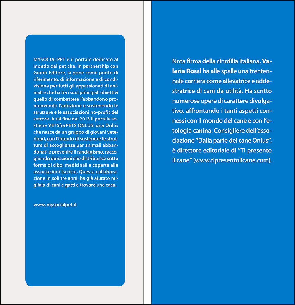 In viaggio con il tuo cane