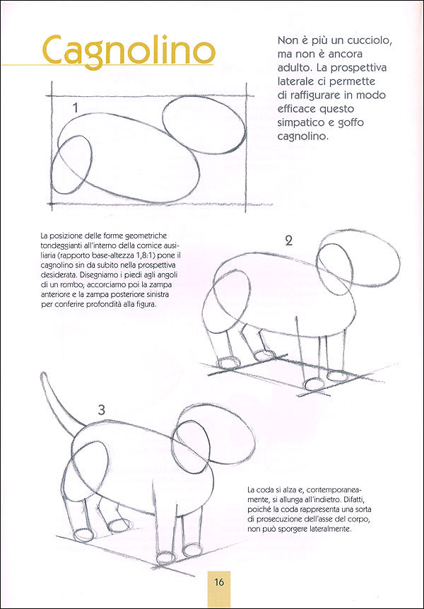 Disegnare animali::Corso di disegno per principianti