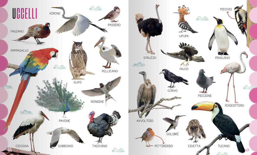 Le mie prime 1000 parole::Una raccolta di parole per suddivise per argomento per arricchire il tuo vocabolario