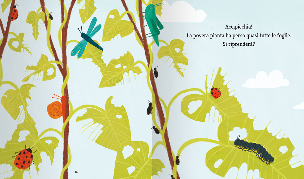 La farfalla e il fagiolo::Una storia sulle fasi della crescita