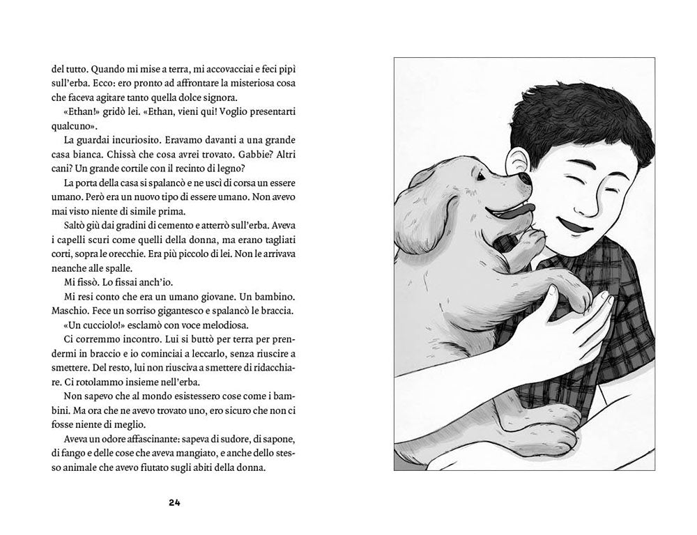 Storia di Bailey::La storia di un cane e del suo bambino