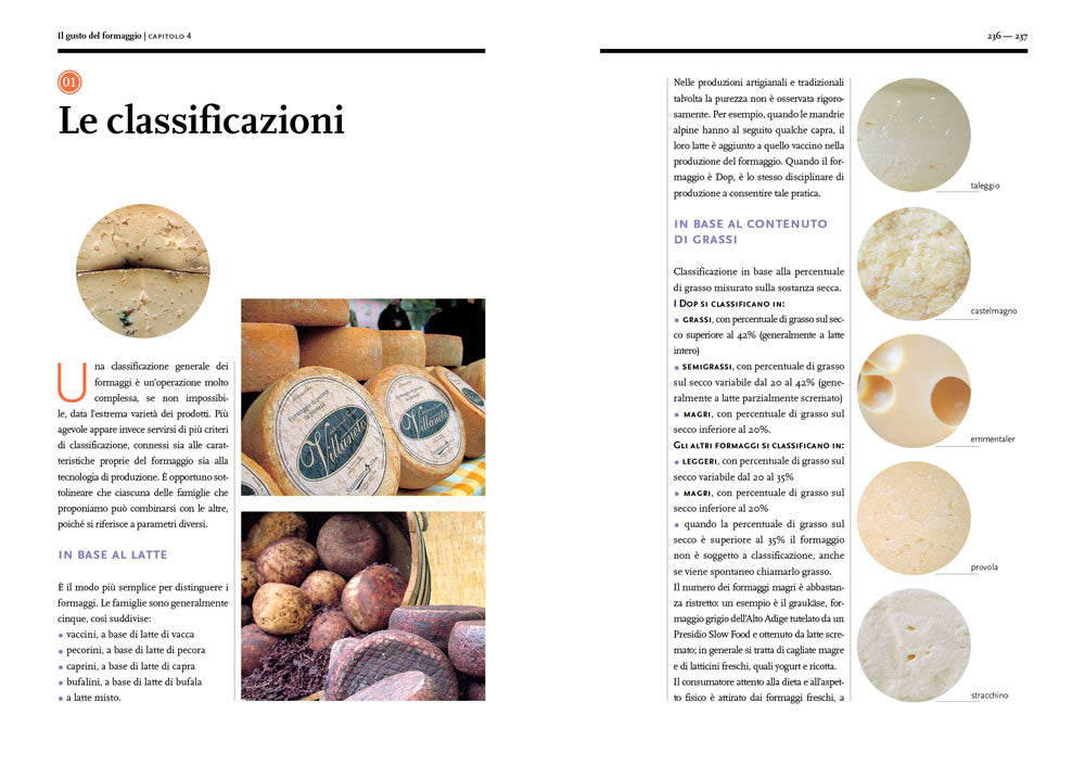 Il gusto del formaggio::Conoscere le forme del latte