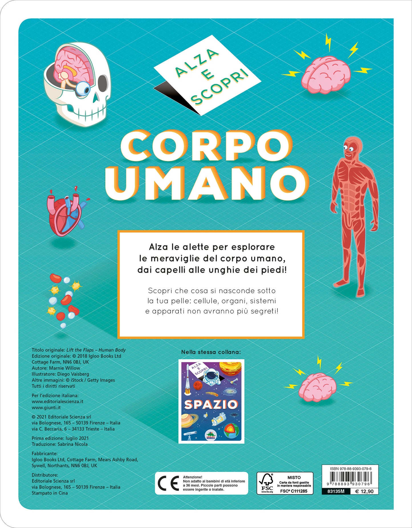 Alza e scopri - Corpo umano