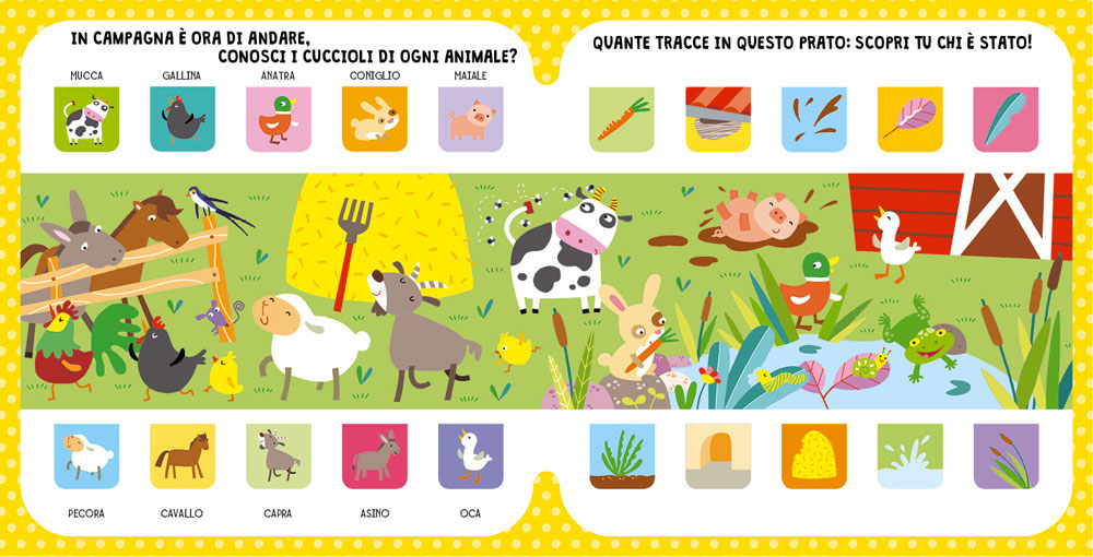 100 belle Finestrelle Animali