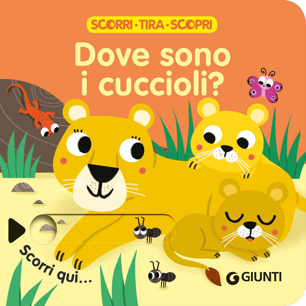 Dove sono i cuccioli?