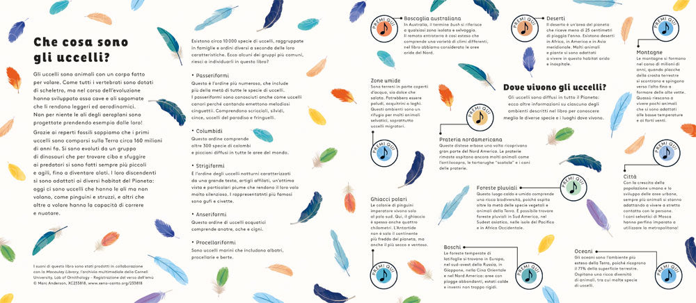 Uccelli dal mondo::I suoni della natura