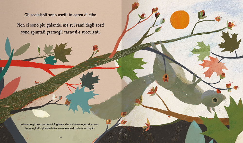 Un anno con gli scoiattoli::Una storia sul susseguirsi delle quattro stagioni