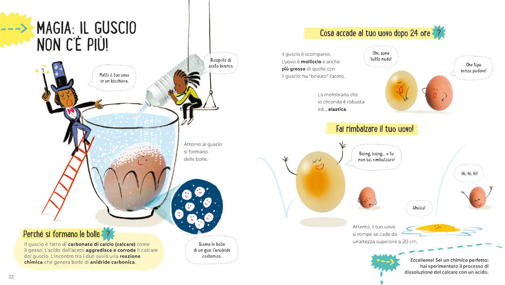 I miei primi esperimenti con l'uovo