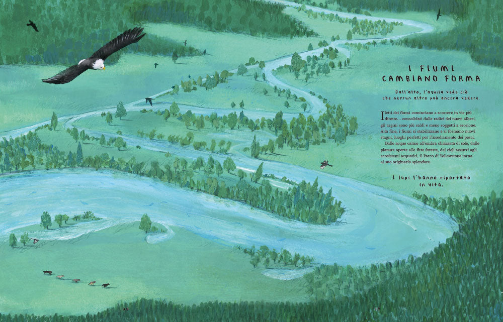 Quattordici lupi::Storia vera di un ritorno