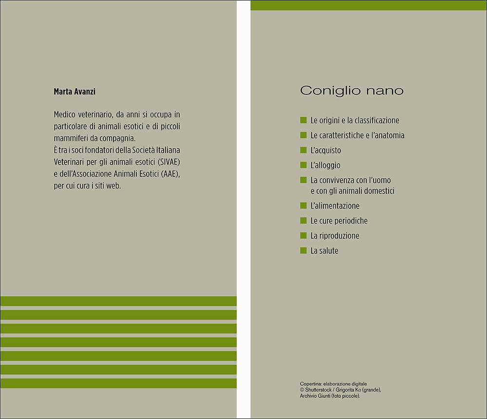 Coniglio nano::Caratteristiche - Comportamento - Allevamento - Riproduzione - Alimentazione - Igiene - Salute