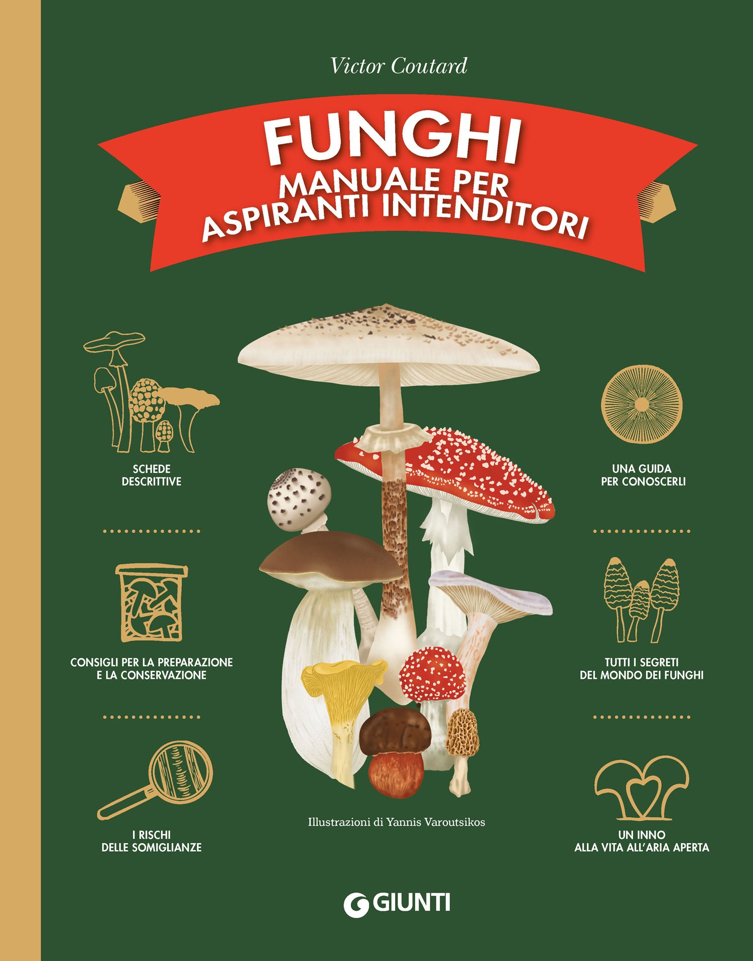 Il mondo dei funghi