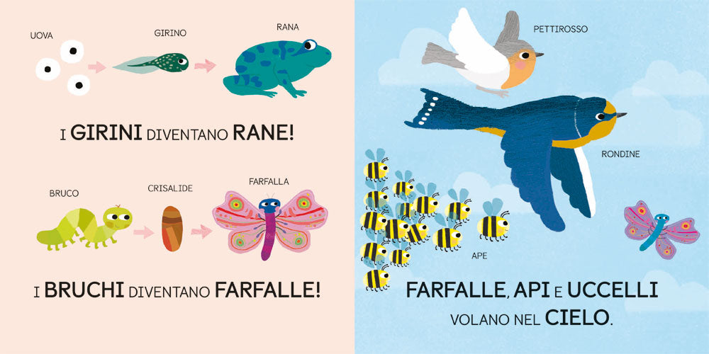 Scienza baby: zoologia