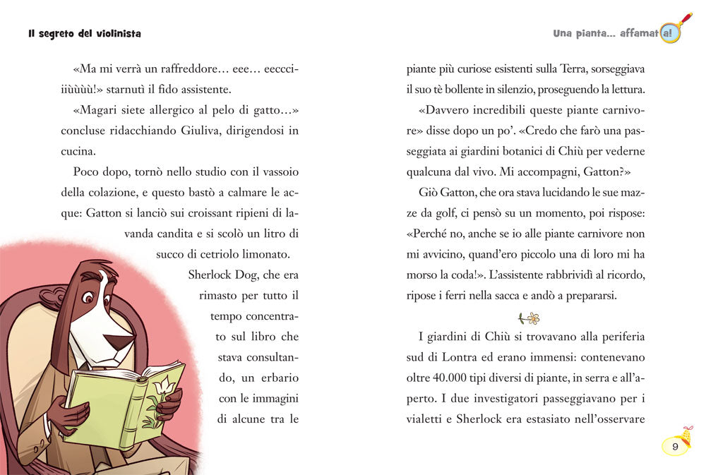 Il segreto del violinista