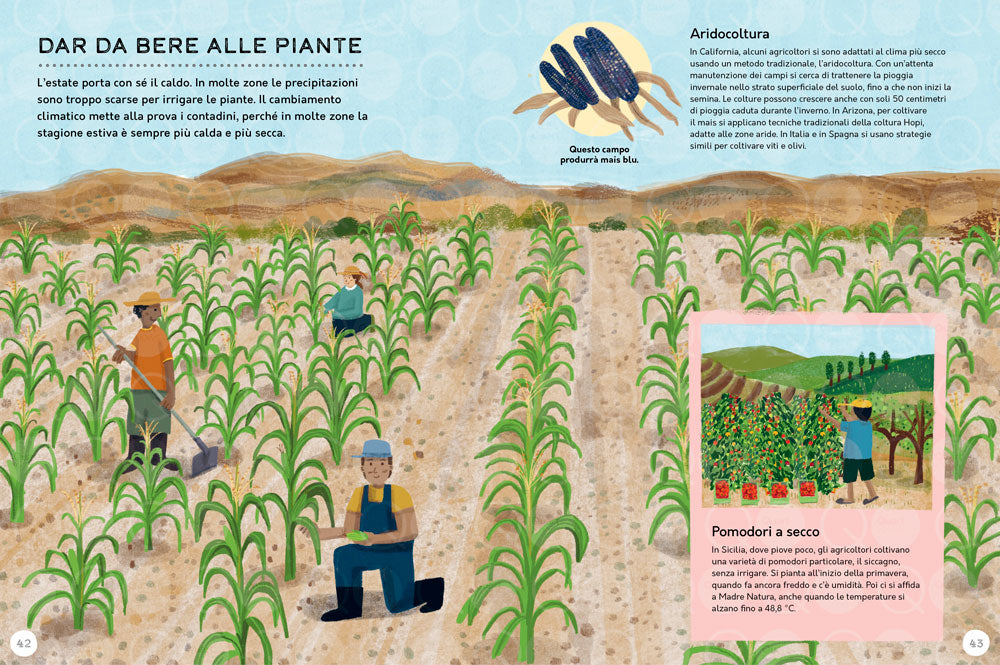 IL MONDO CHE CI NUTRE::Alla scoperta del cibo sostenibile