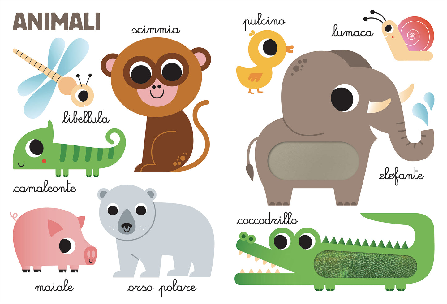 Le mie prime 100 parole tattili