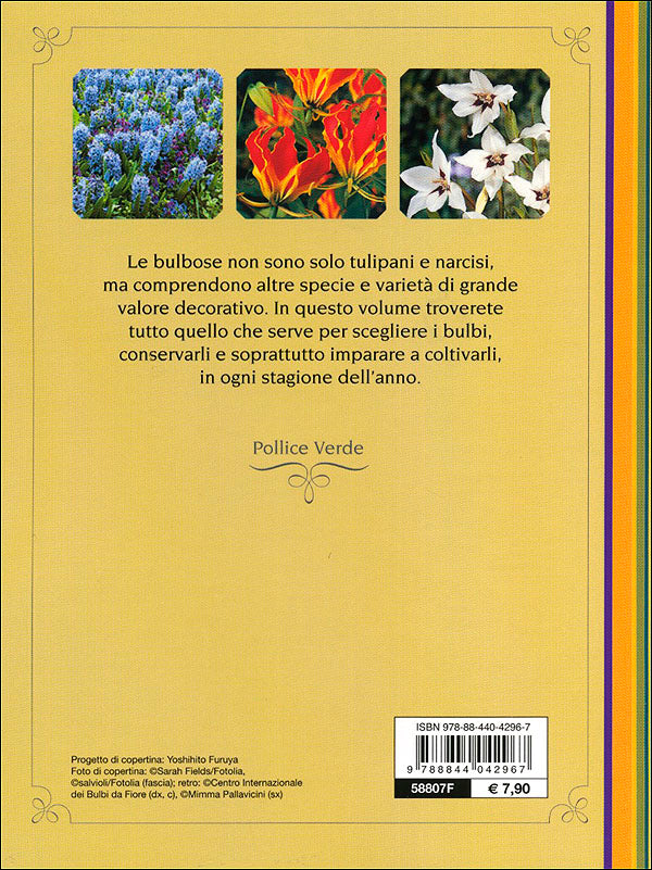 Bulbose::Varietà, fioritura e cure colturali