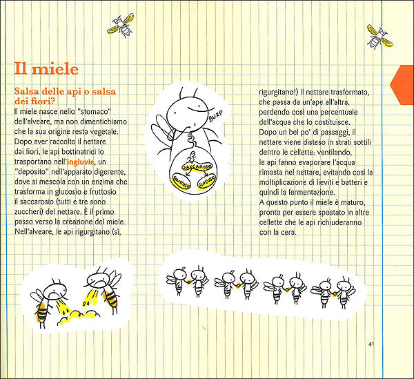 Il miele::Tutti i segreti delle api - All'interno la scheda per diventare un vero assaggiatore!