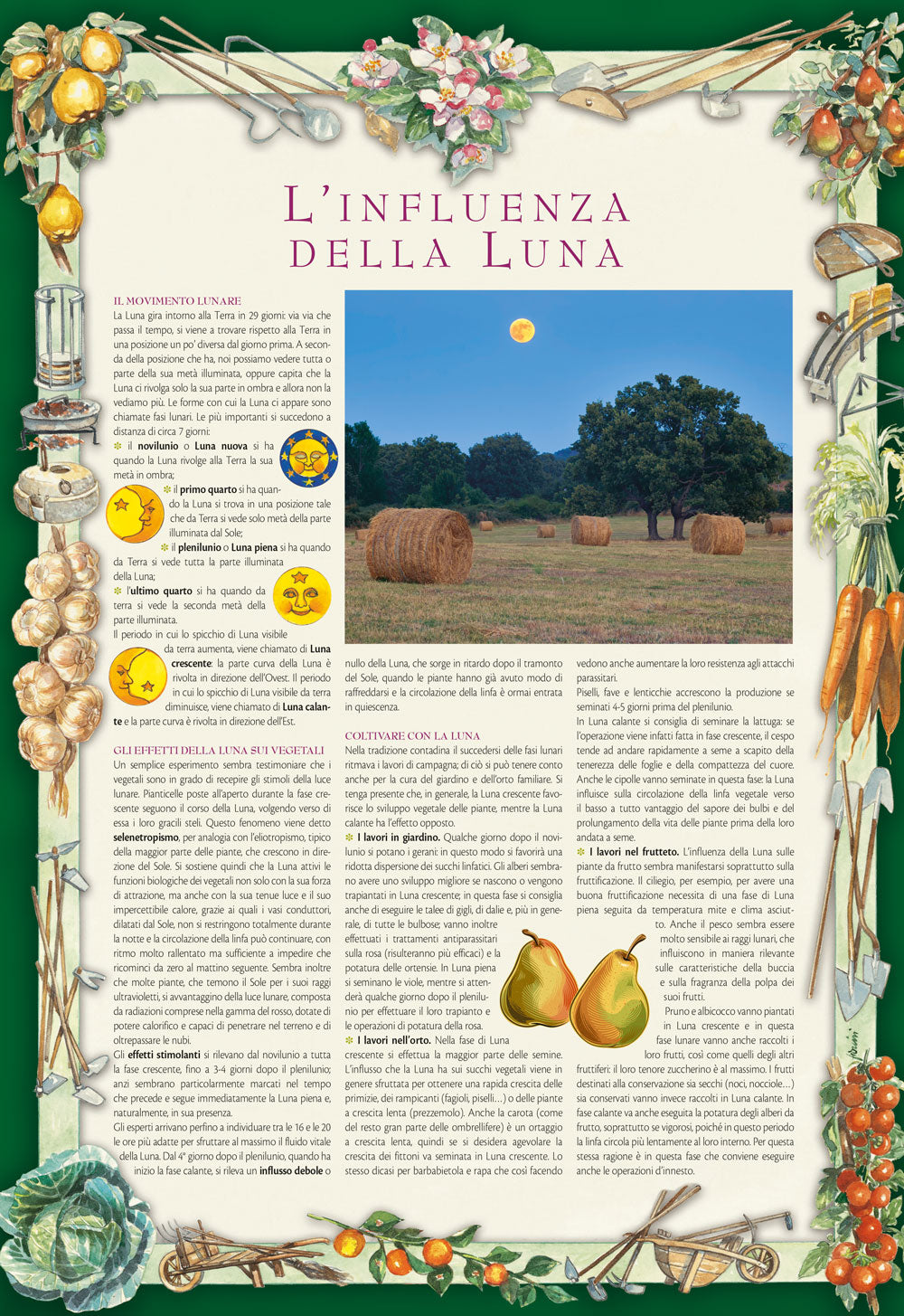 Calendario lunare 2022::delle semine e dei lavori - 12 mesi di cose da fare