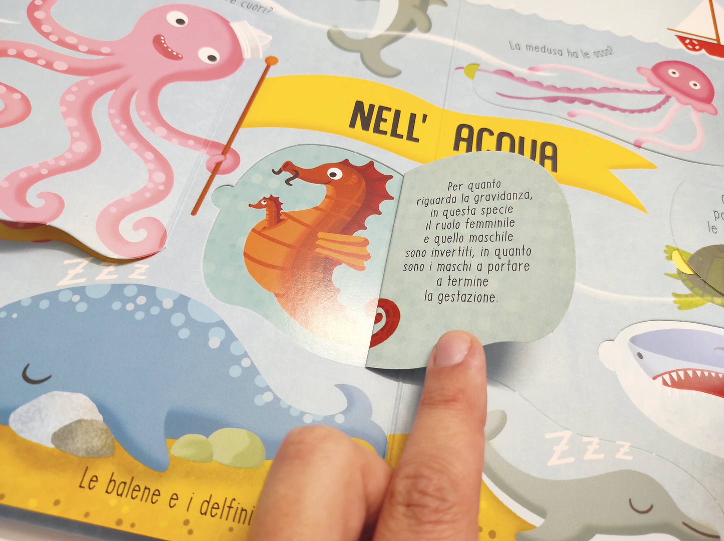 Animali::Solleva le alette e trova le risposte!