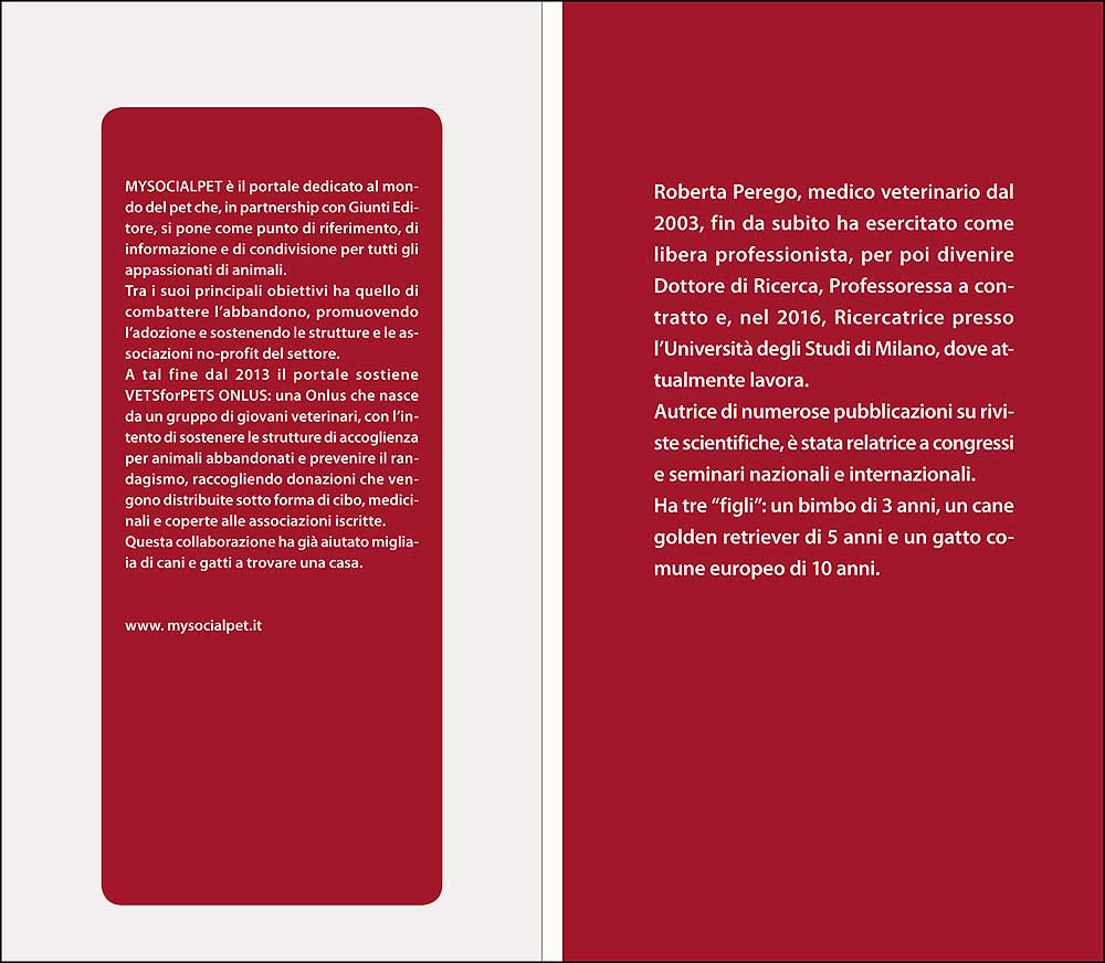 Come gestire il tuo cane anziano