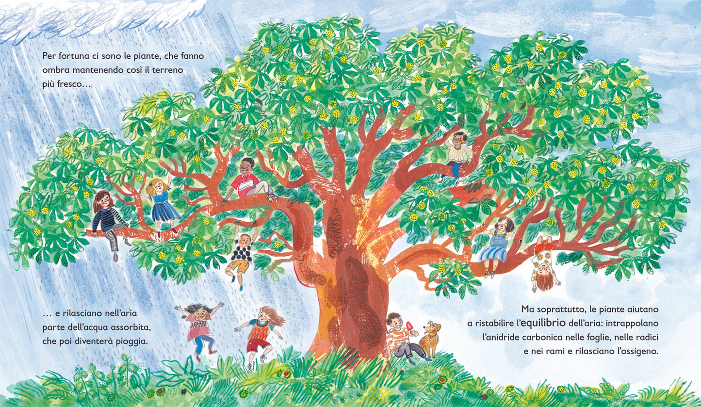 Verde::Il mondo segreto delle piante