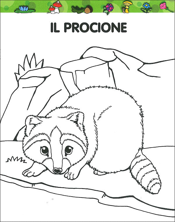 I cuccioli del Bosco da colorare::Con 4 pagine di giochi!