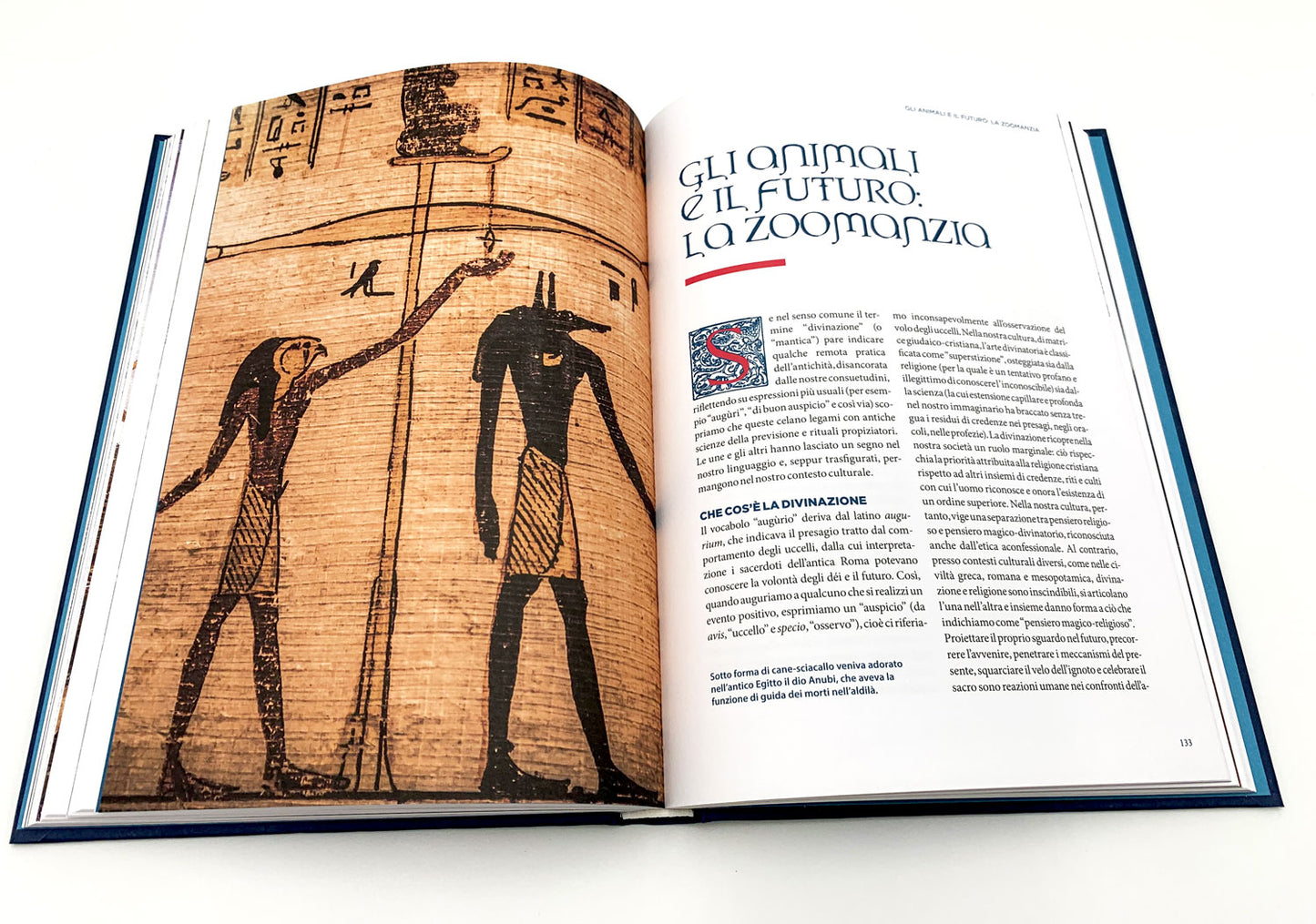 Animali magici ::simboli, tradizioni e interpretazioni