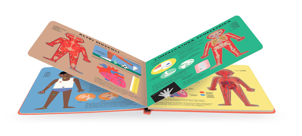 Il corpo umano::Guarda attraverso le pagine trasparenti e scopri il fantastico funzionamento del corpo umano!