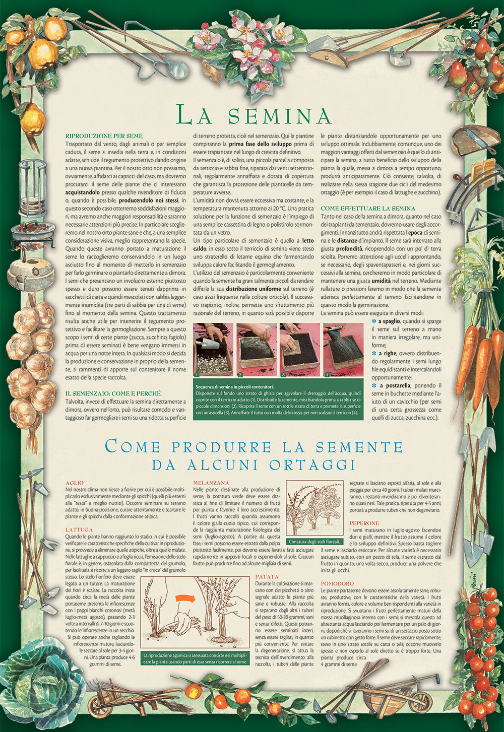 Calendario Lunare 2024 da parete (26.5 x 38.5 cm)