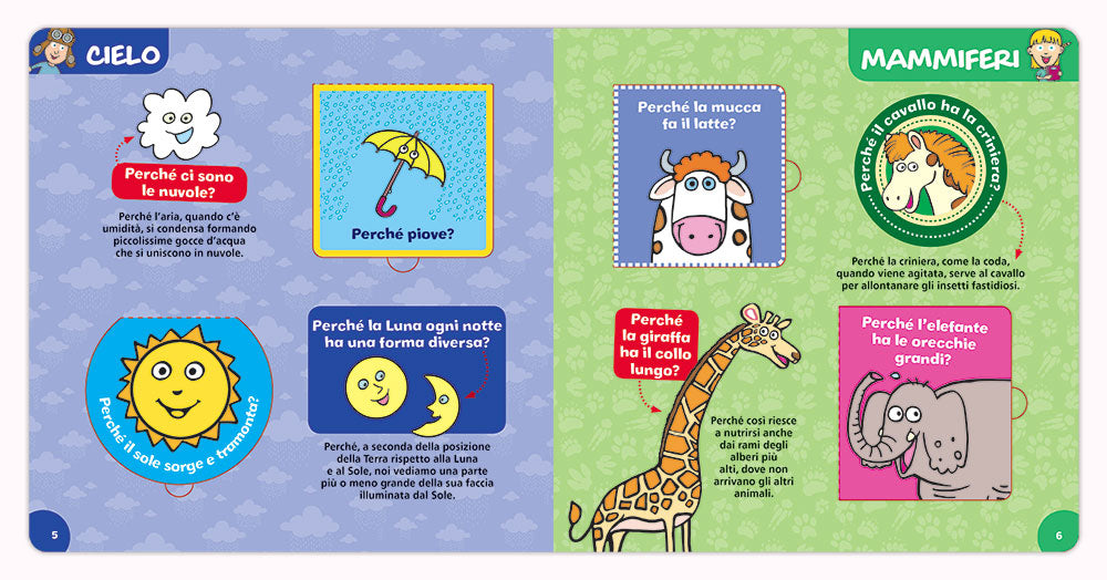 Il mio primo libro dei perché - con finestrelle