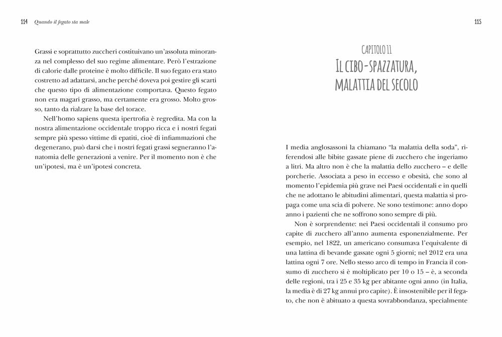 I poteri nascosti del fegato::Guadagna anni di vita in buona salute!