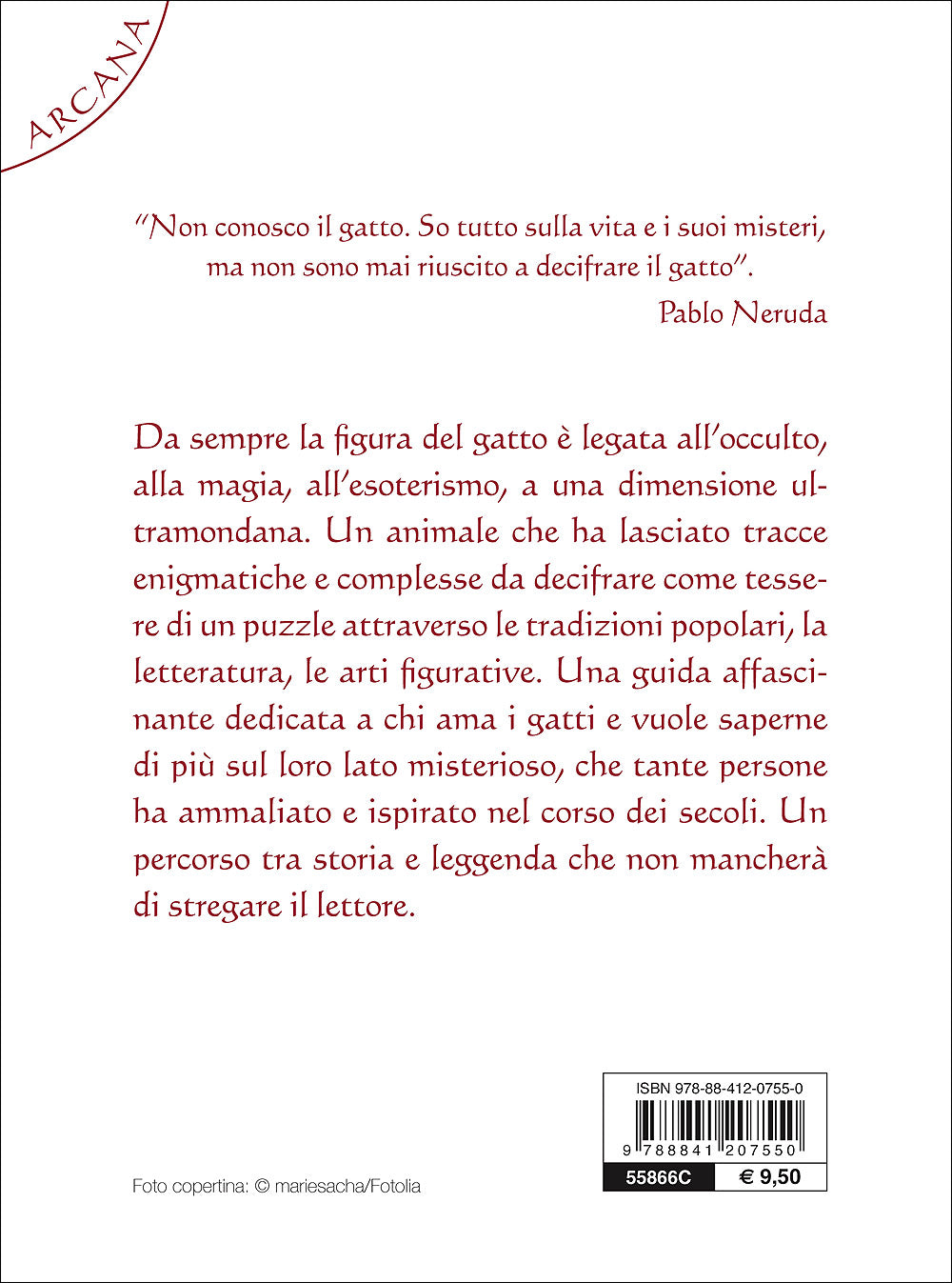 I poteri magici del gatto::Nella storia, nelle leggende, nelle tradizioni popolari