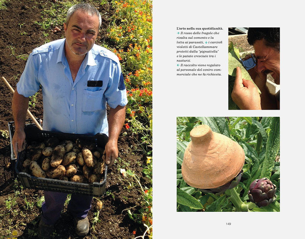 Un Orto al Centro::Educare alla sostenibilità