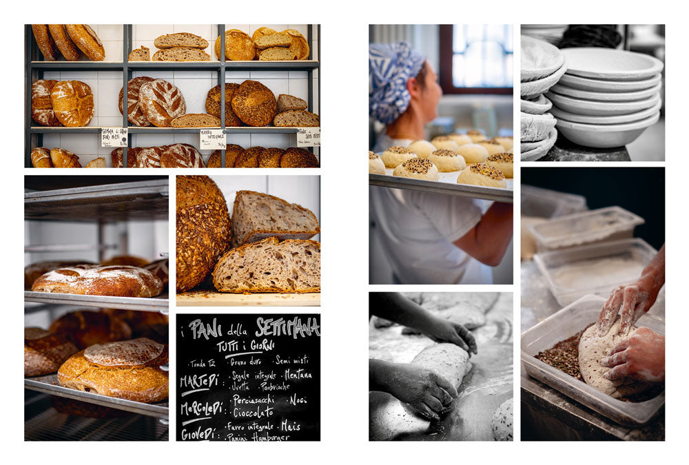 Le stagioni del pane::tecniche e ricette per impasti perfetti