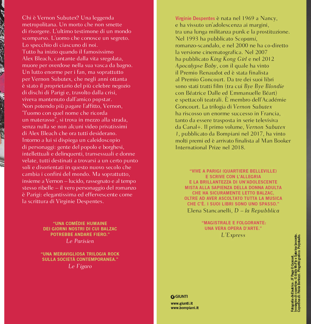 Trilogia della città di Parigi::Vernon Subutex