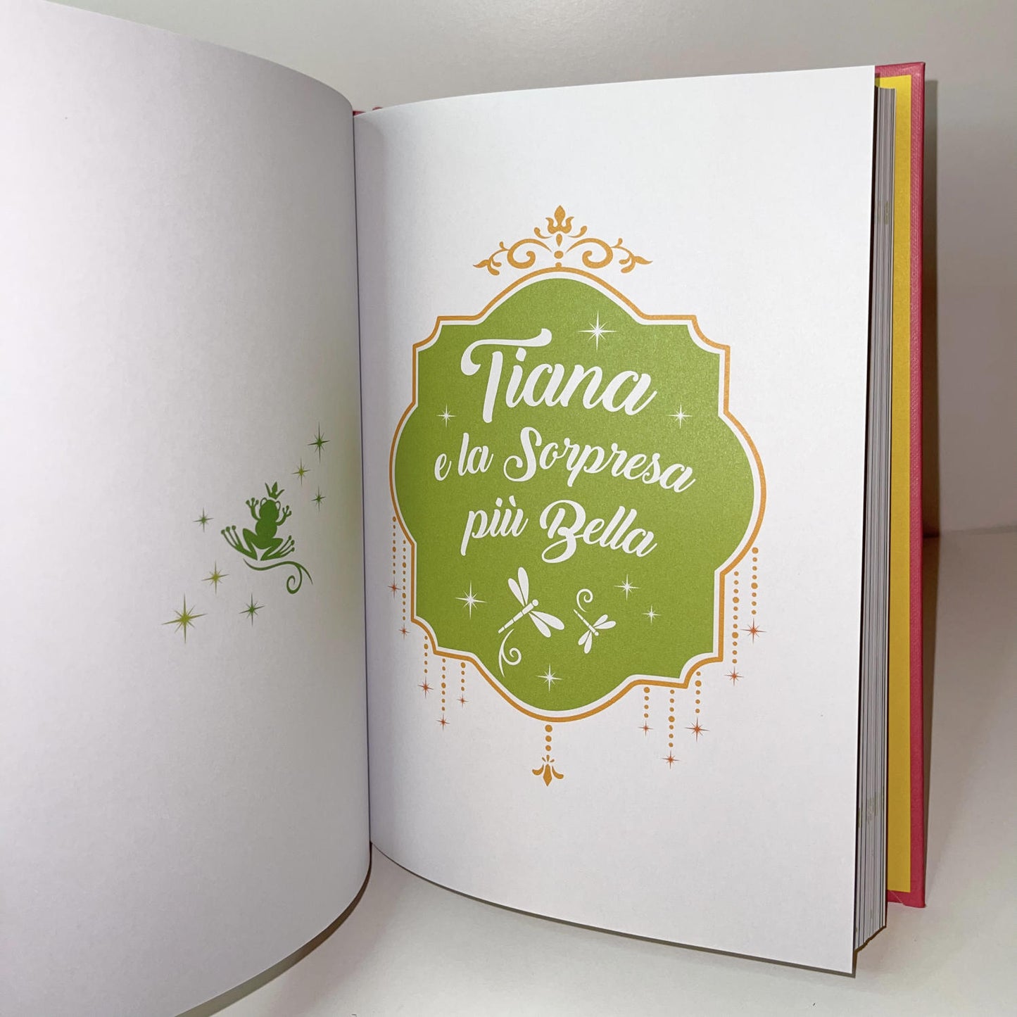 Ragazze che hanno allenato l'ottimismo e la creatività - Storie di talenti::Ogni principessa ha la sua storia. Ogni storia ha il suo inizio.