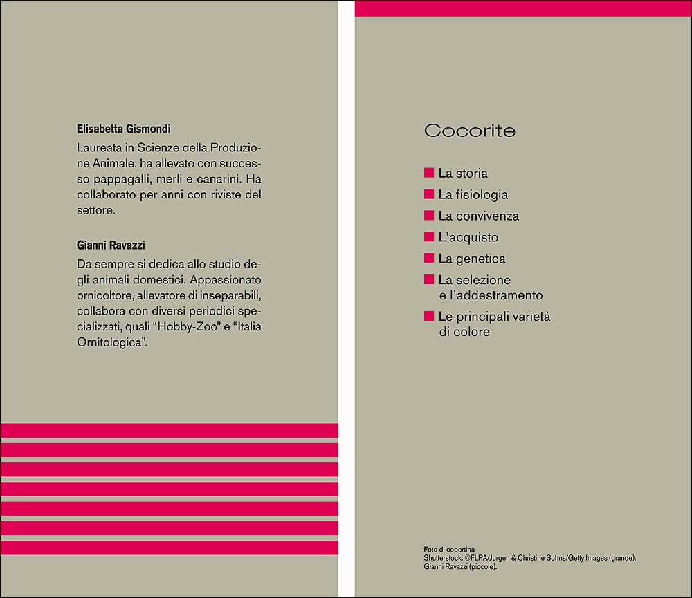 Cocorite::Caratteristiche - Comportamento - Allevamento - Riproduzione - Alimentazione - Igiene - Salute