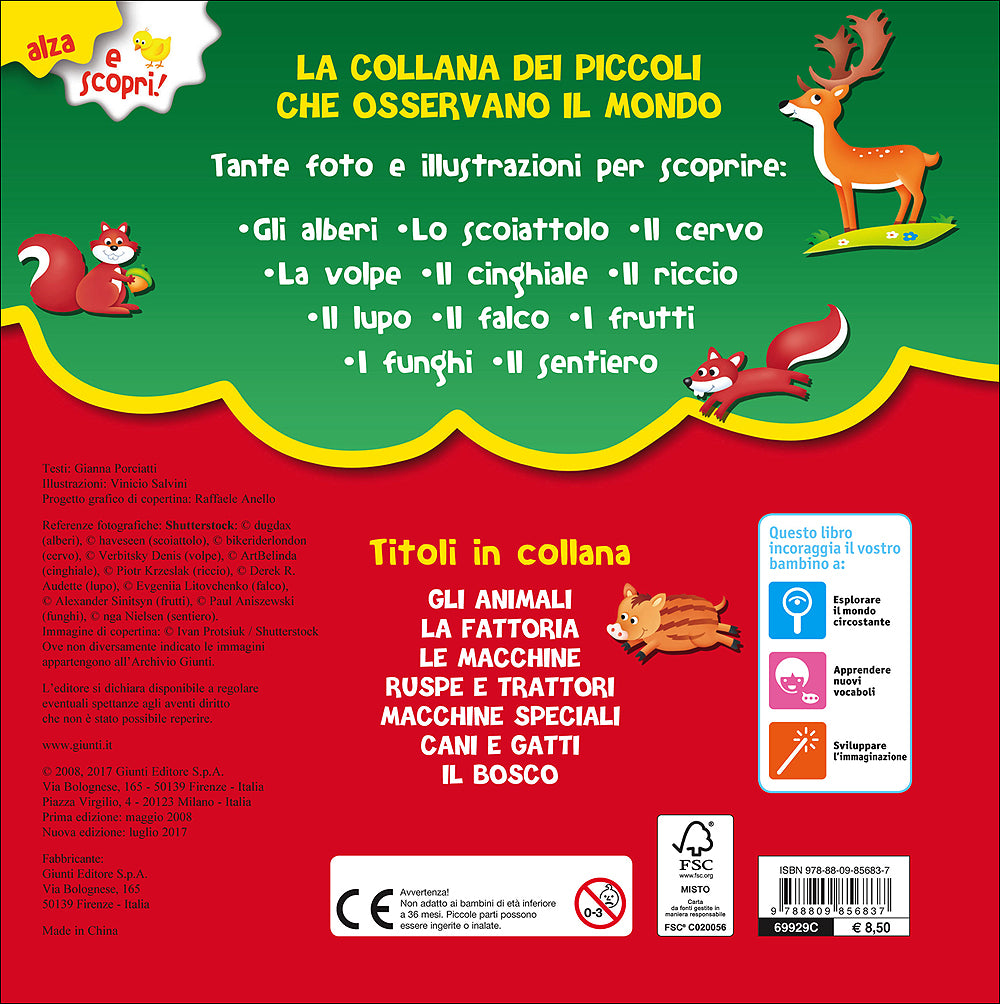 Il Bosco::Con finestrelle giganti