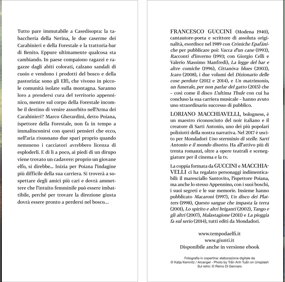 Tempo da elfi::Romanzo di boschi, lupi e altri misteri
