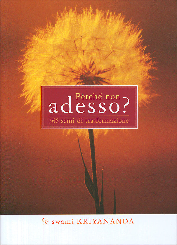 Perché non adesso?::366 semi di trasformazione